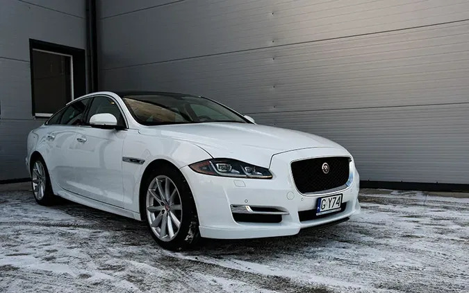 jaguar xj Jaguar XJ cena 127999 przebieg: 89000, rok produkcji 2016 z Bystrzyca Kłodzka